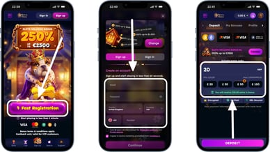 royal dogs casino login