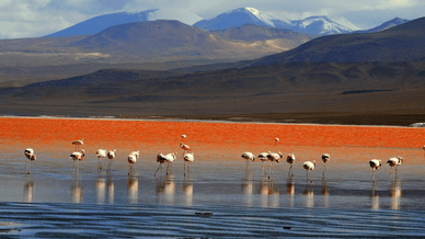 Laguna Colorada