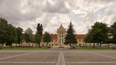 Замок у Жовкві