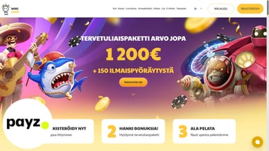 nettikasino EcoPayz