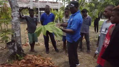 Förbättra kakaoodlingen Förbättra kakaoodlingen
