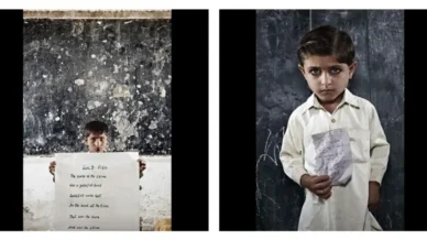 Projektet «State of Ignorance»