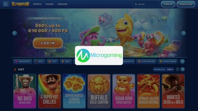 online casino microgaming software