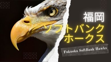 福岡ソフトバンクホークスとは【基本情報・歴史・よくある質問】