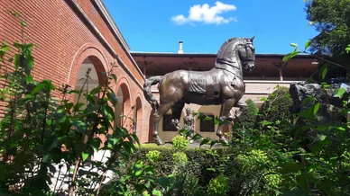 Cheval du Monument au général Alvear au musée Bourdelle.