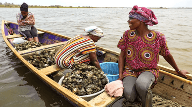 Жінки з громади Цокомей