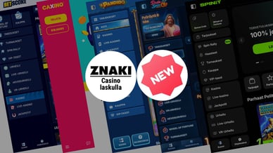 Uudet casino laskulla