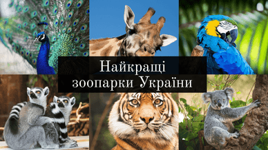 Найкращі зоопарки України