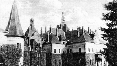 Шенборни, палац