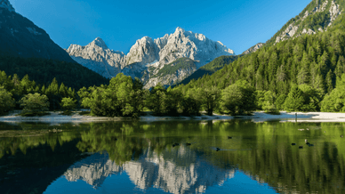 Краньска Гора