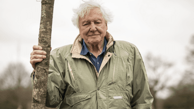 Сер Девід Аттенборо, видатний британський натураліст, телеведучий та письменник