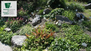 Botanični vrt Skalnjak