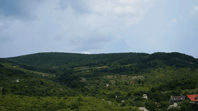 Чорна гора, Виноградів