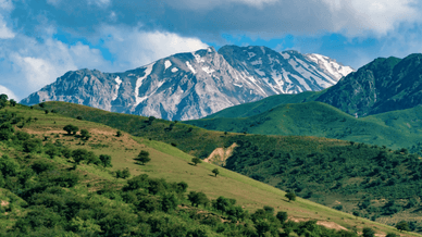 Чимганські гори, розташовані в Узбекистані