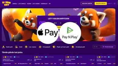 Pay N Play Apple Pay kasinot