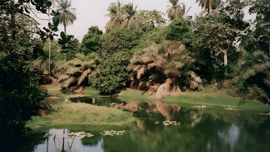 Природный заповедник Абуко, первый и самый посещаемый национальный парк Гамбии