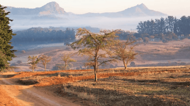 Mlilwane Wildlife Sanctuary