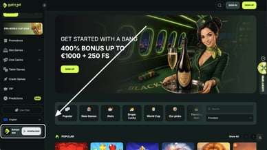 the online casino app