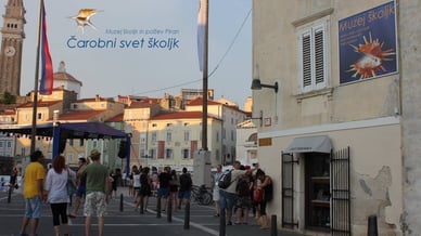 Čarobni svet školjk