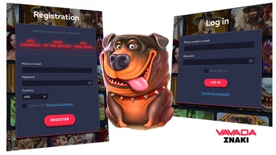 Vavada Casino Login
