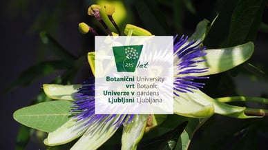 Botanični vrt Univerze v Ljubljani