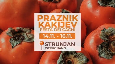 22. Praznik kakijev v Strunjanu