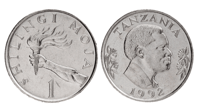 Монета 1 шилінг