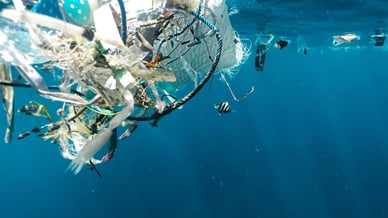 Ocean plastic pollution