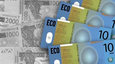 التحول الاقتصادي ومستقبل العملات في دول غرب أفريقيا عملة الإيكو (ECO): أوراق نقدية مقترحة باللون الأزرق جنباً إلى جنب مع عملة فرنك غرب أفريقيا.