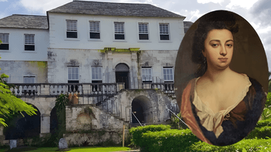 Энни Палмер