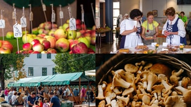 Praznik topliškega jabolka