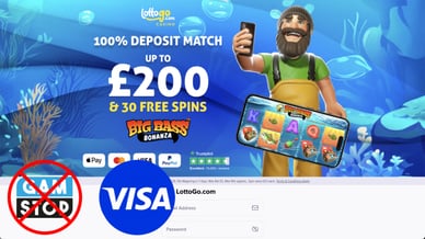 visa casino online lottogo