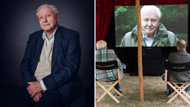 Принц Вільям та Девід Аттенборо сидять у режисерських кріслах під час закритого перегляду одного з фільмів натураліста