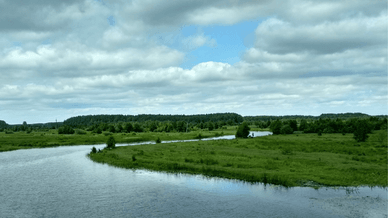 Чому варто обрати еко-туризм в Україні