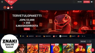 Dama N.V casino