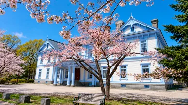 四季折々の公園 春、桜の開花時期の中島公園