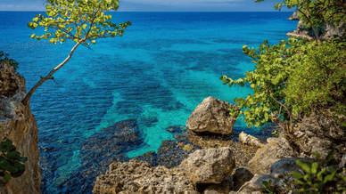 Ямайки, берег