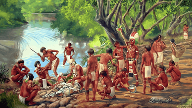 Племя Аравака