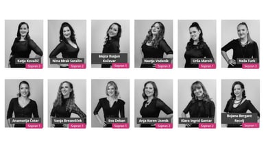 Perpetuum Jazzile Člani