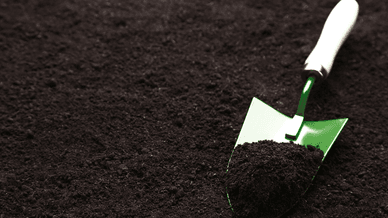 Проби ґрунту