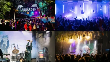 Trädgården & Under Bron Trädgården & Under Bron