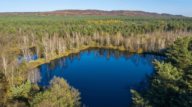 Яворівський парк