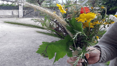 Buquê simbólico para o Dia da Espiga em Portugal