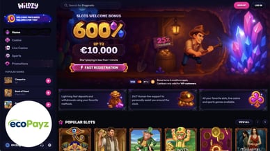 online casino accepting ecopayz