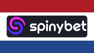 Spinybet casino