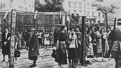 Єврейські жінки у Львівському гетто