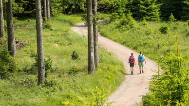 Schönste Wanderwege Deutschlands