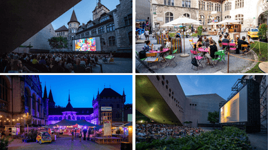 Hofkino im Landesmuseum (Zürich)