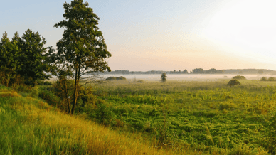 Природний парк «Пирятинський»