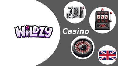 wildzy casino main photo